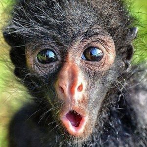 Meet your Posher, Mila